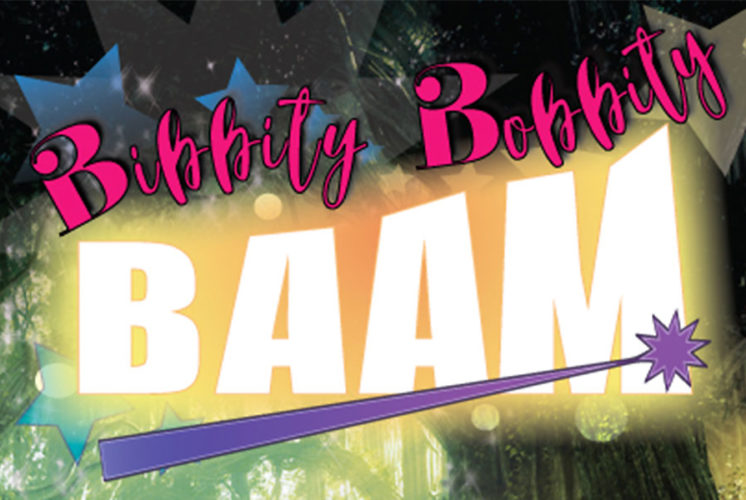 Bibbity Bobbity Baaaam
