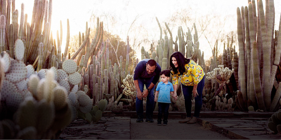 date-teaser-DesertBotanicalGarden