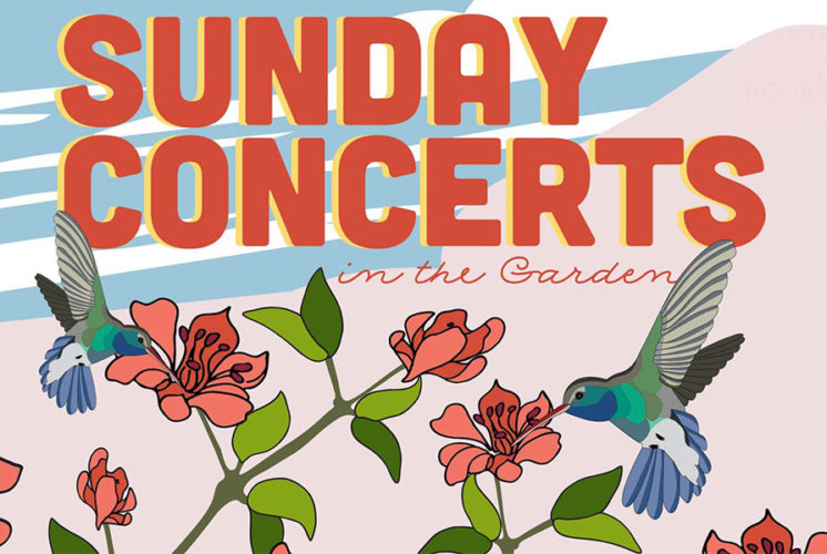 Sunday Concert Series at Desert Botanical Gardens