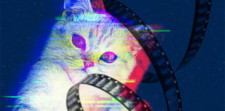 CatVideoFest