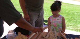 Dia del Nino at the Heard