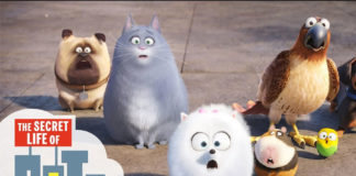 Secret Lives of Pets