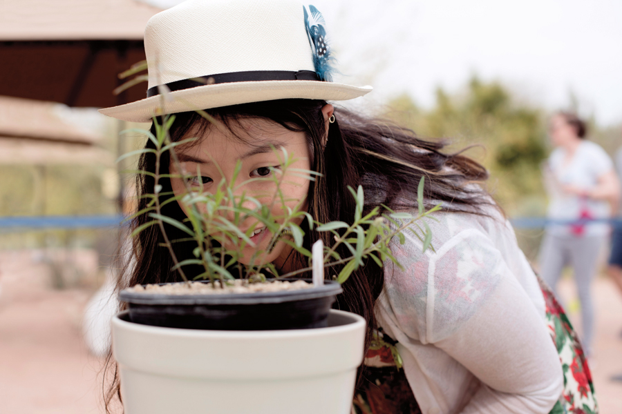 DesertBotanicalGarden-Cocoon