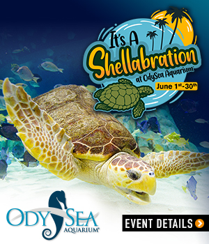 190502_RaisingAZKids-TileAd-300×350-Shell-a-bration-v2