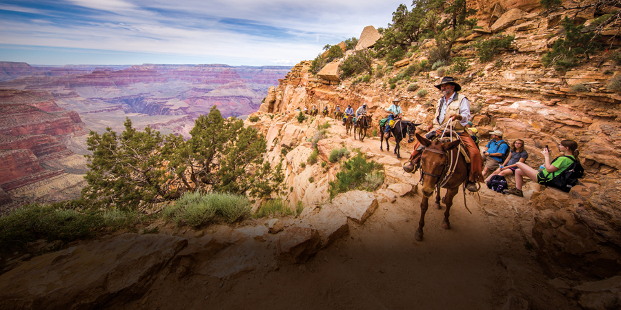 1906-teaser-SummerEvents-Trails