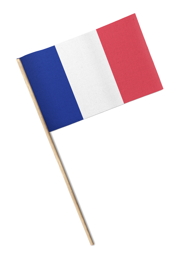FrenchFlag