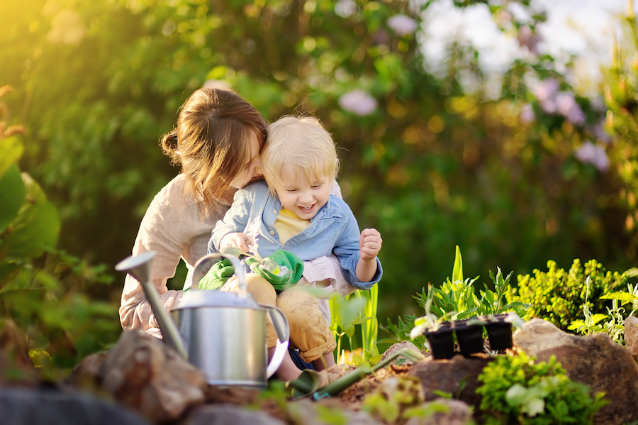 Beautiful young woman and her cute son planting seedlings in bed in the domestic garden at summer day