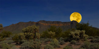 Usery Mountain Regional Park