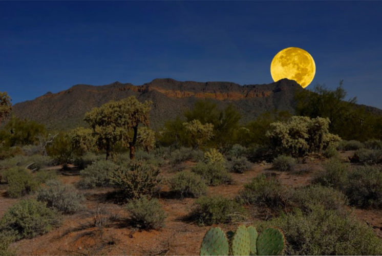 Usery Mountain Regional Park