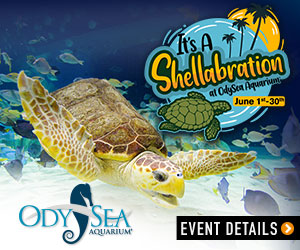 RaisingAZKids-300×250-Shell-a-bration (1)