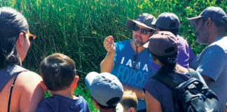 Butterfly Bash