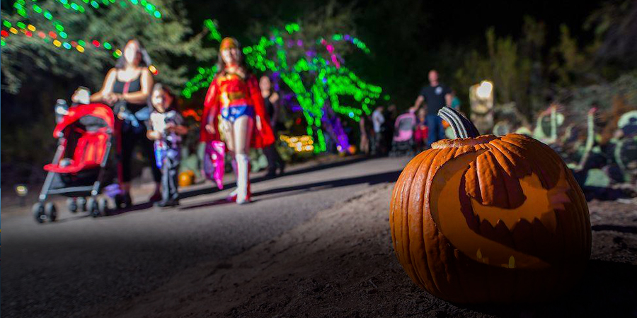 0910-teaser-PhxZooHowloween