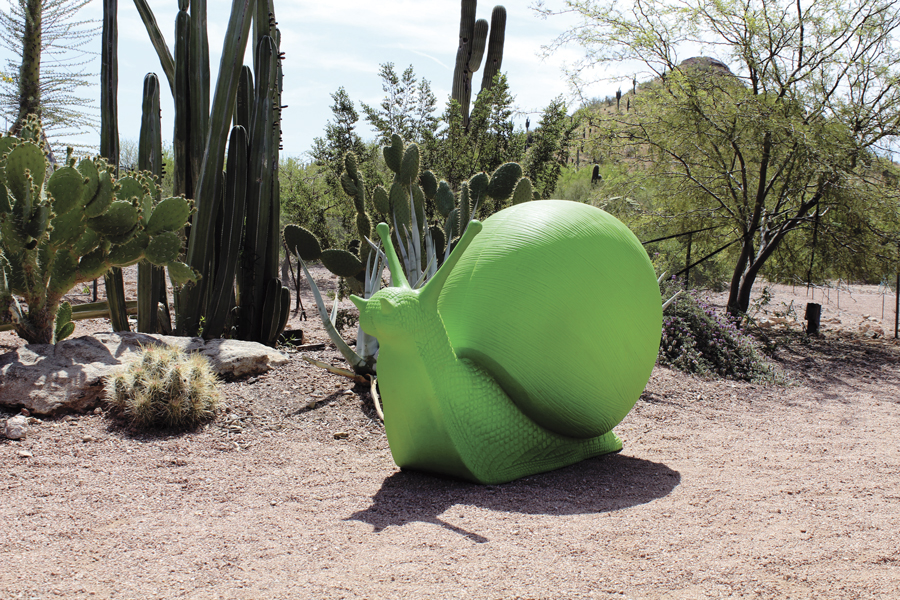 DesertBotanicalGarden-Fall19-WildRising