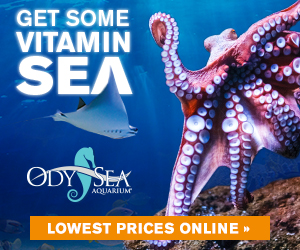 OA-Generic-AdTile-300×250