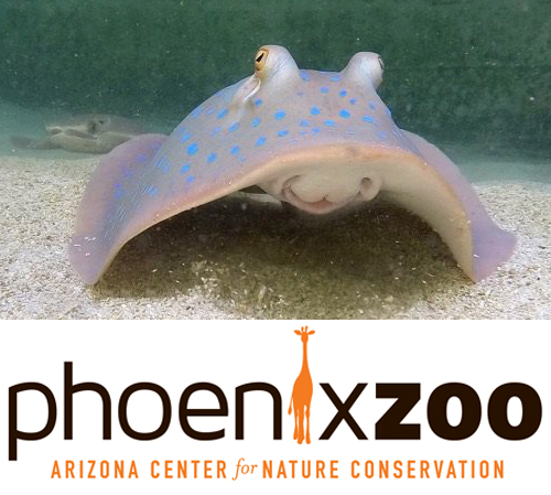 Phoenix-Zoo-logo-Stingray-Bay-Both-2