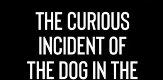The Curious Incident of the Dog in the Nighttime