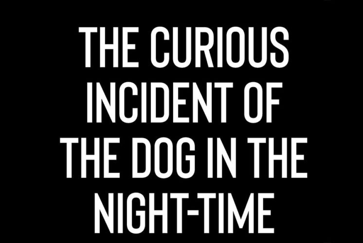The Curious Incident of the Dog in the Nighttime