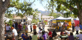 Fall Festival: A Celebration of Music & Art