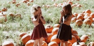 Schnepf Farms, Pumpkin and Chili Party, pumpkin patch, Queen Creek