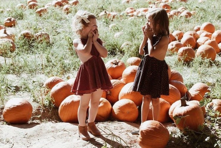 Schnepf Farms, Pumpkin and Chili Party, pumpkin patch, Queen Creek