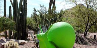 Wild Rising by Cracking Art