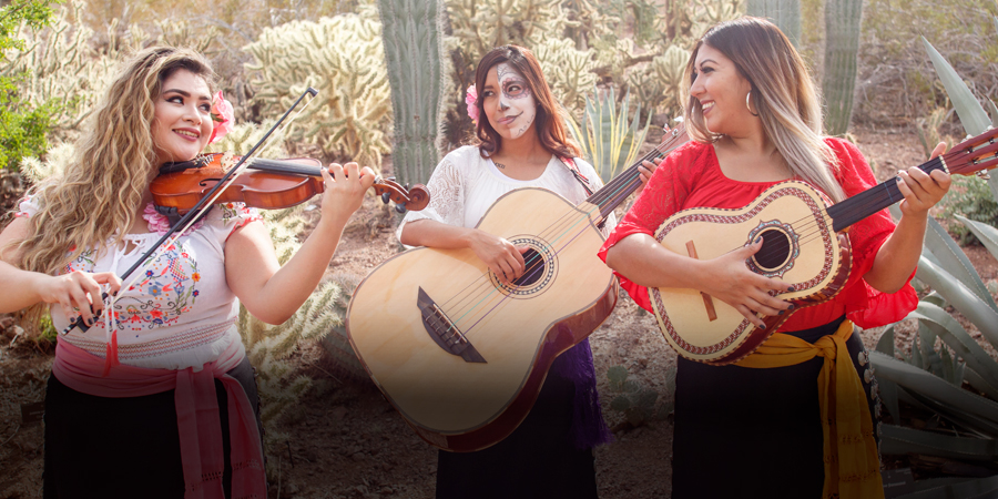 1911-teaser-DBGDiaLosMuertos