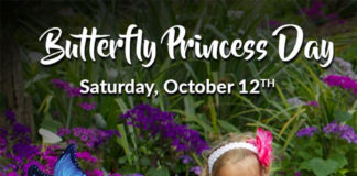 Butterfly Princess Day