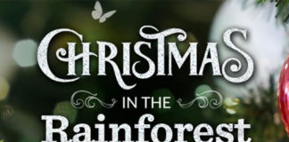 Christmas in the Rainforest