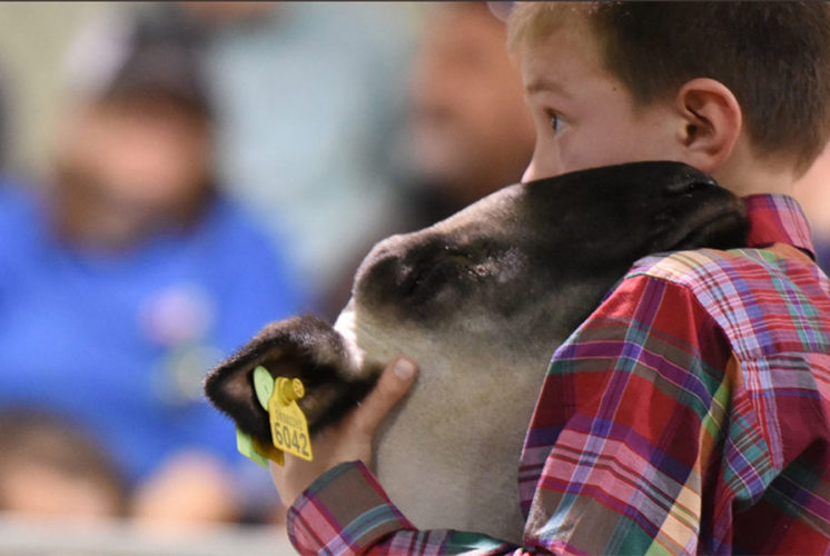 Arizona National Livestock Show