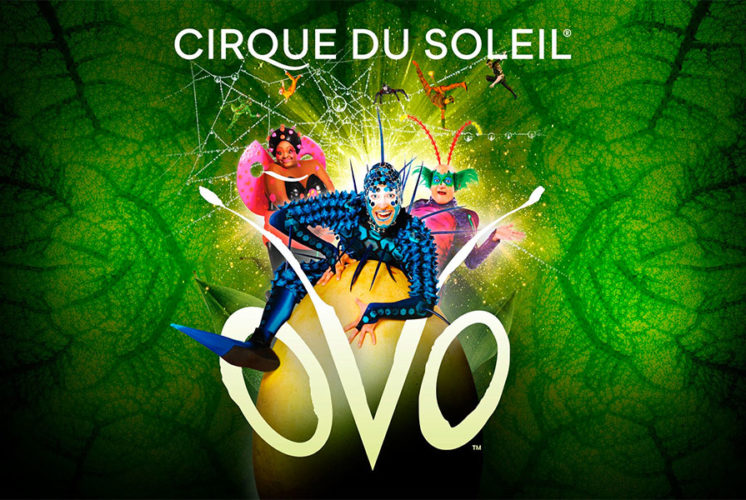 Cirque du Soleil: OVO