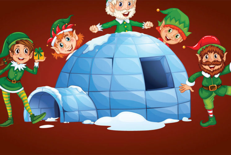 Elf Academy