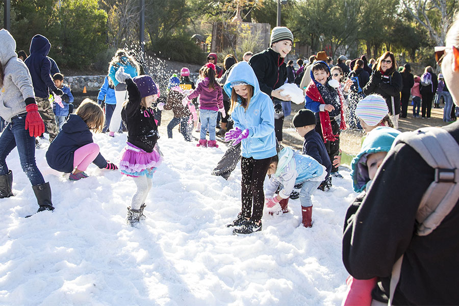 Noon Year's Eve at Phoenix Zoo