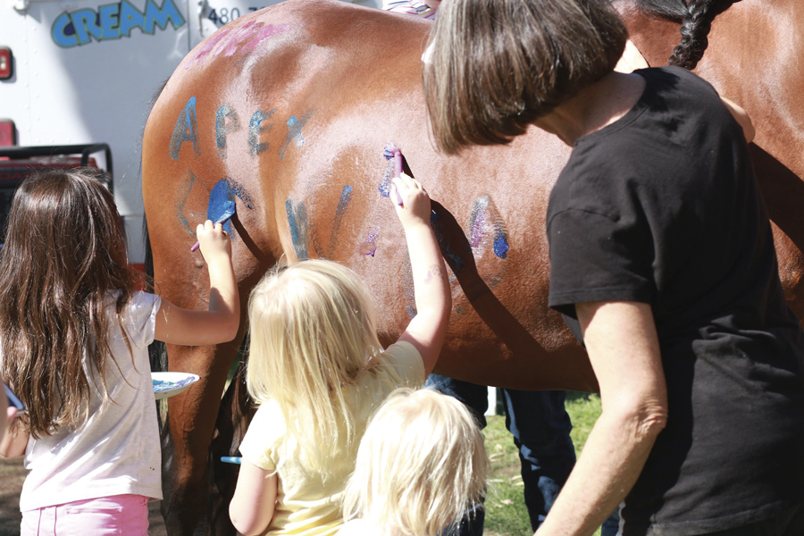 Scottsdale-Arabian-Horse-Show