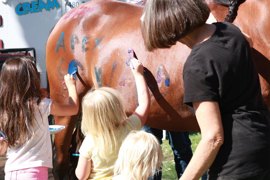 March2020-Cal-ScottsdaleArabianHorse