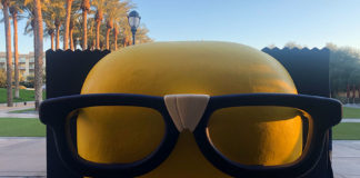 Culver's Cheese Curd Photo Booth