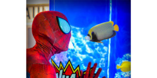 Celebration of Superheroes