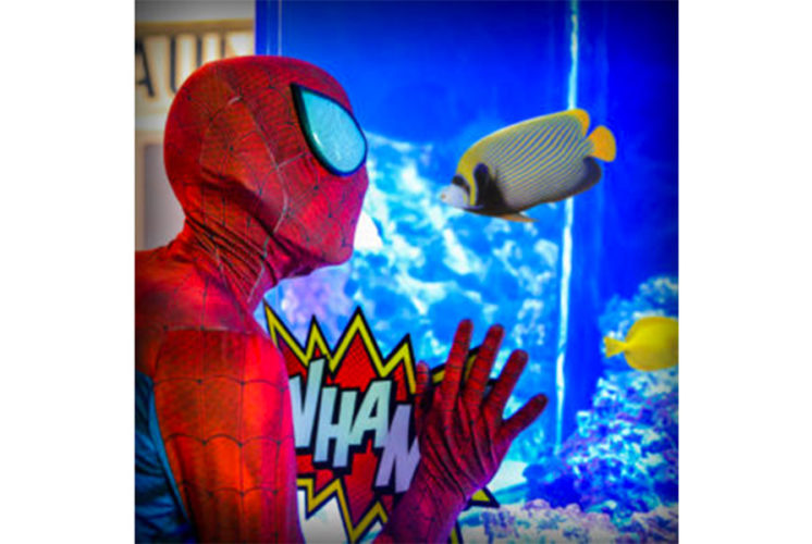 Celebration of Superheroes