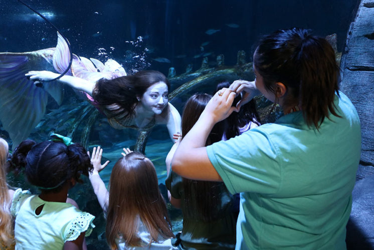 Meet a Mermaid at Sea Life Arizona