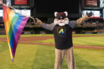 dbacks_pride