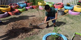Cartwright Community Garden