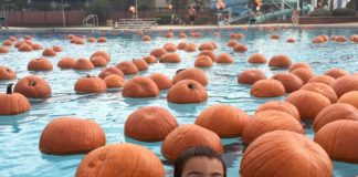 Mesa Pumpkin Splash, Halloween