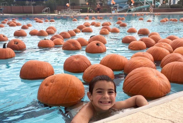 Mesa Pumpkin Splash, Halloween
