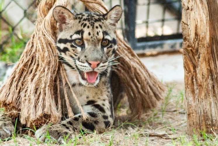 Wildlife World Zoo & Aquarium
