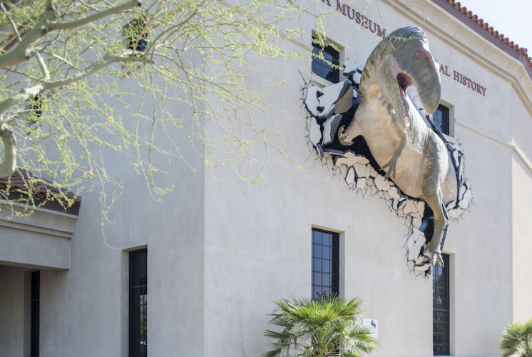 Arizona Museum of Natural History, dinosaurs, museums for kids, Mesa museums