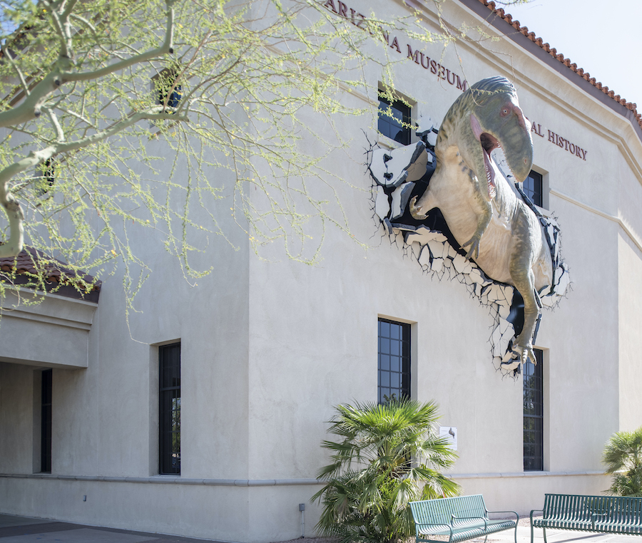Arizona Museum of Natural History, dinosaur museum, Mesa museums