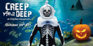 Creep in the Deep, OdySea Aquarium