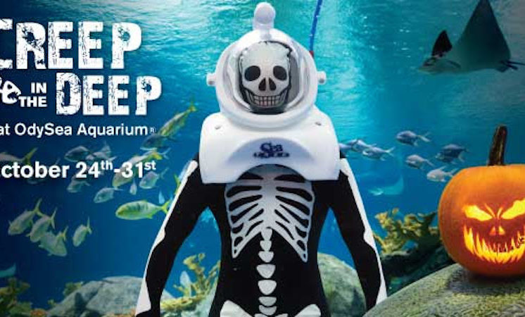 Creep in the Deep, OdySea Aquarium
