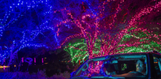 ZooLights, Cruise ZooLights, Phoenix Zoo, holiday lights Phoenix