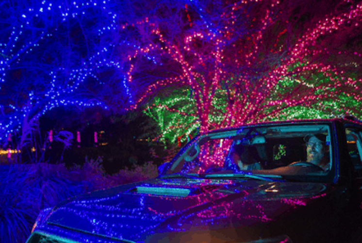 ZooLights, Cruise ZooLights, Phoenix Zoo, holiday lights Phoenix