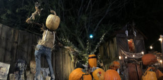 Ray Villafane, pumpkin carving, Strange Encounters Exhibition, Mesa Arts Center